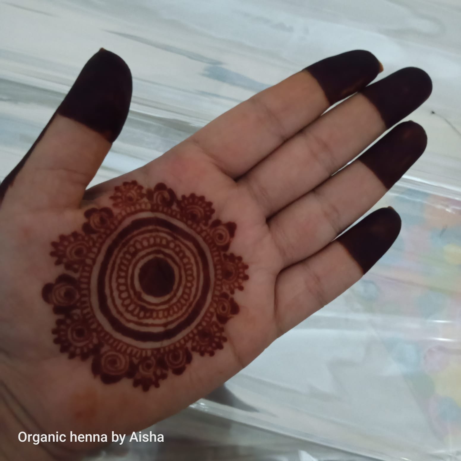 WhatsApp Image 2026-02-18 at 10.01.23 PM (1)