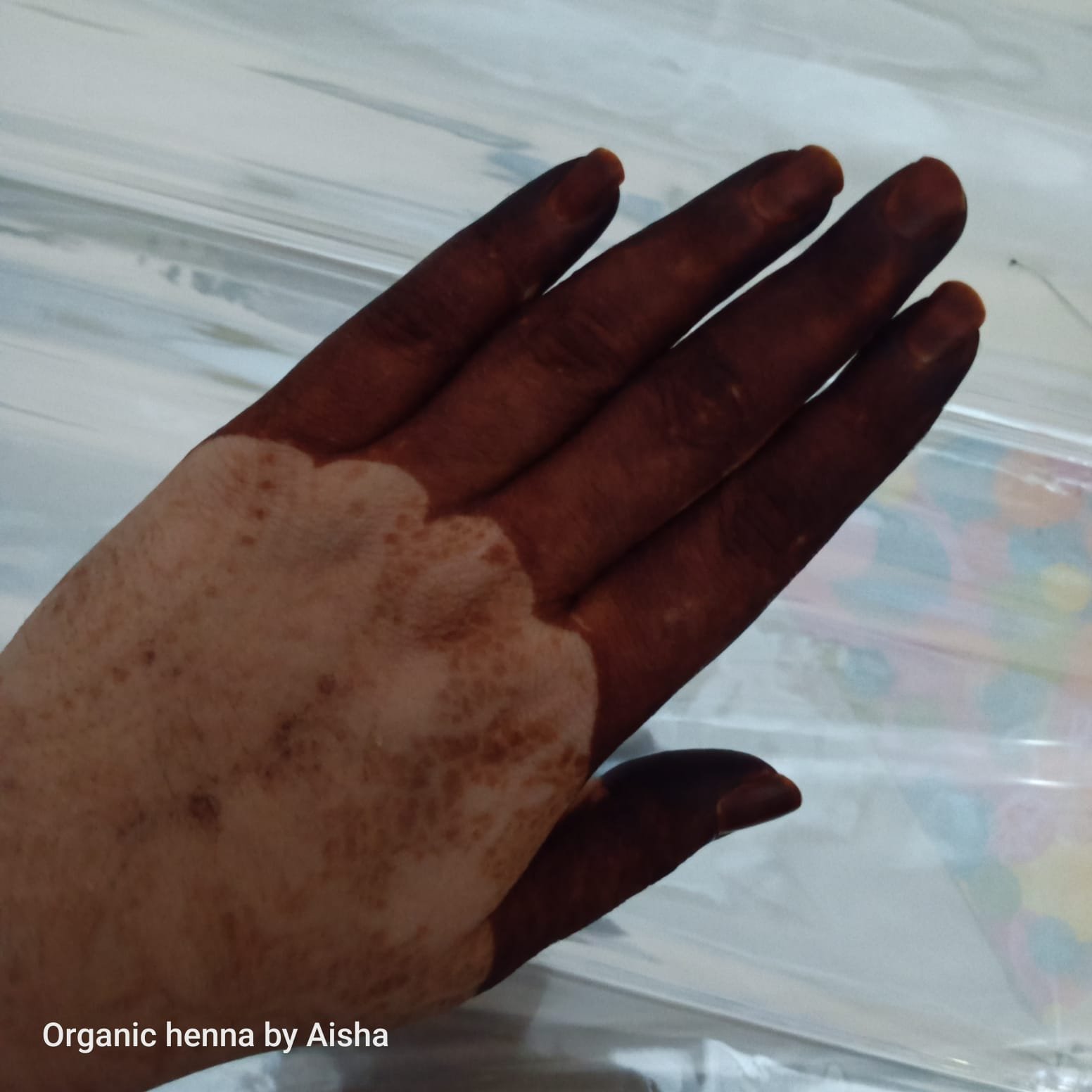 WhatsApp Image 2026-02-18 at 10.01.24 PM